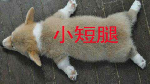 股骨长偏短孩子是不是长不高,股骨长说明宝宝高吗