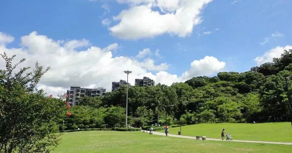 深圳免门票景点推荐,深圳市内近20个景点一票通玩