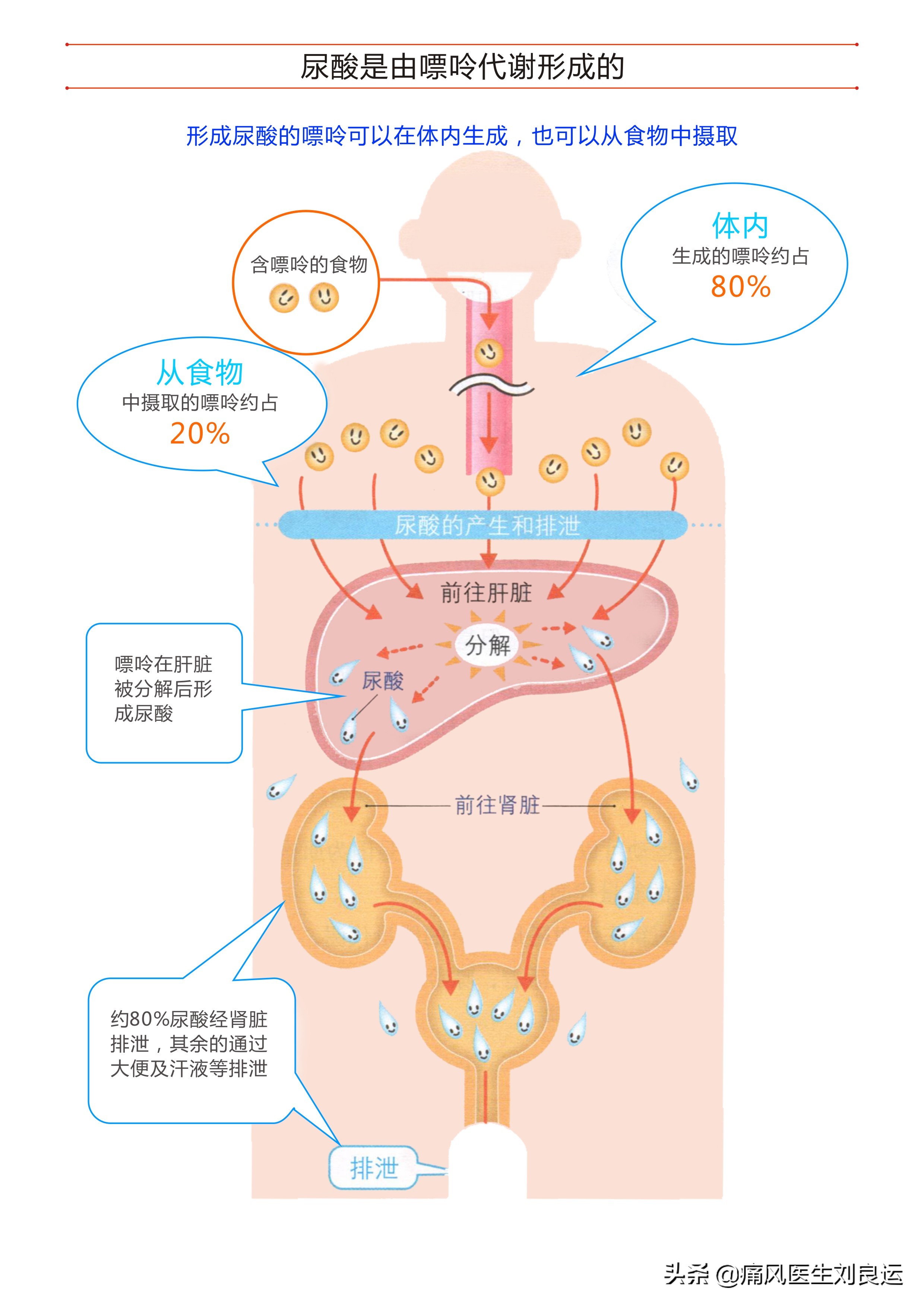 降尿酸祛痛风最健康的方法,降尿酸治痛风的最好方法