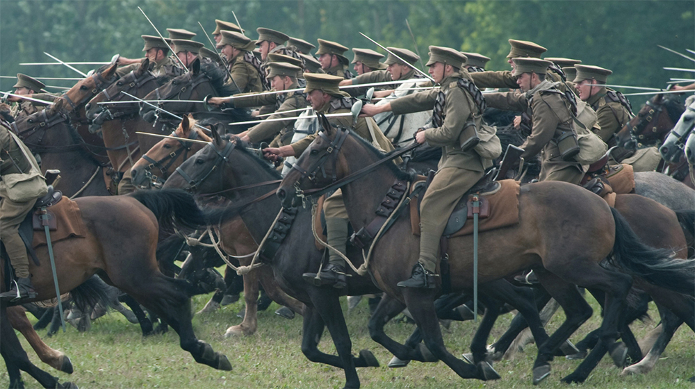 驴骡子马有什么区别,马驴子骡子都有什么区别呢