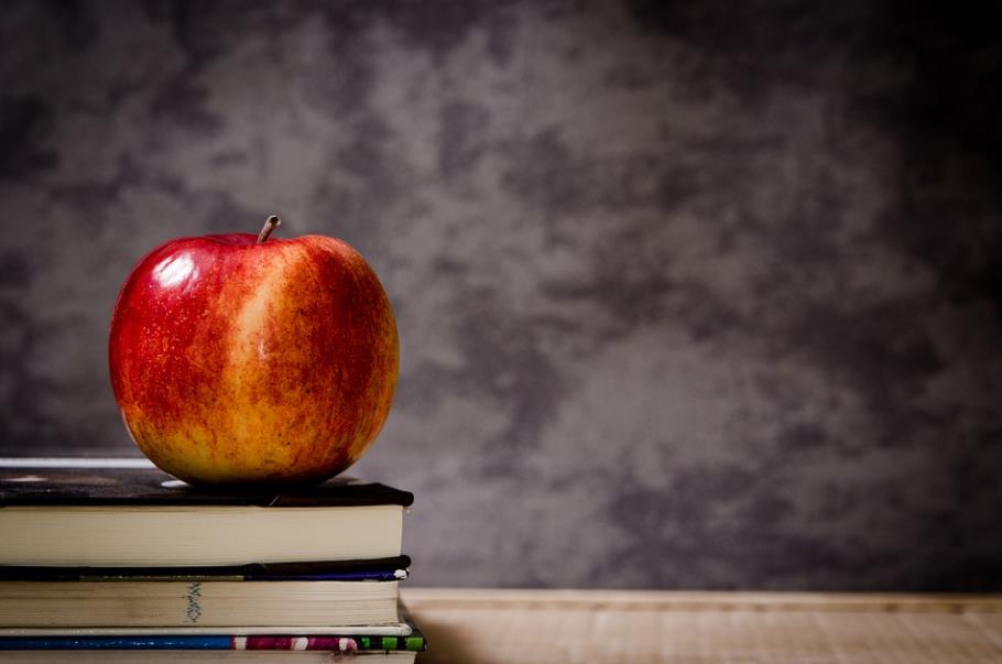 物理八年级下册力学讲解,八年级下册物理力学中的功