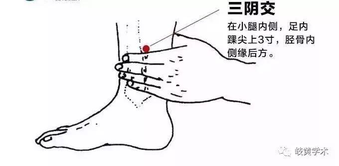 恶心干呕穴位按压法,常见疾病穴位搭配一览表
