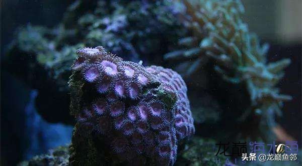 说出来都是泪！只有新下海的人才能体会这种痛，简直是全军覆灭