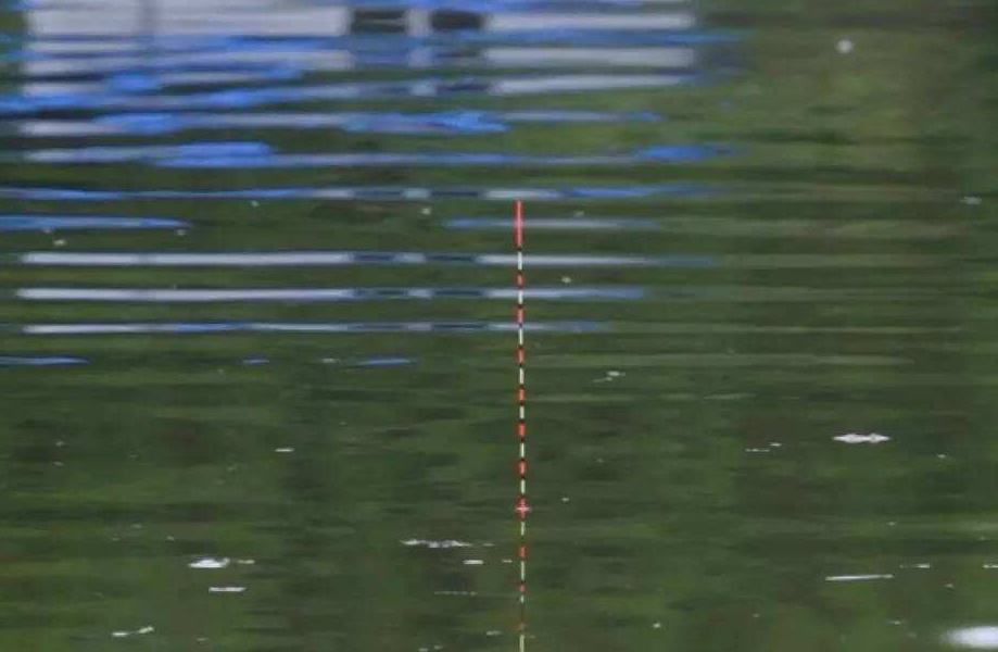 窝里有鱼不咬钩怎么解决,明明有鱼就是不咬口怎么办