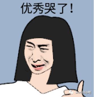如何把女朋友放入SU当模板？嘿嘿嘿