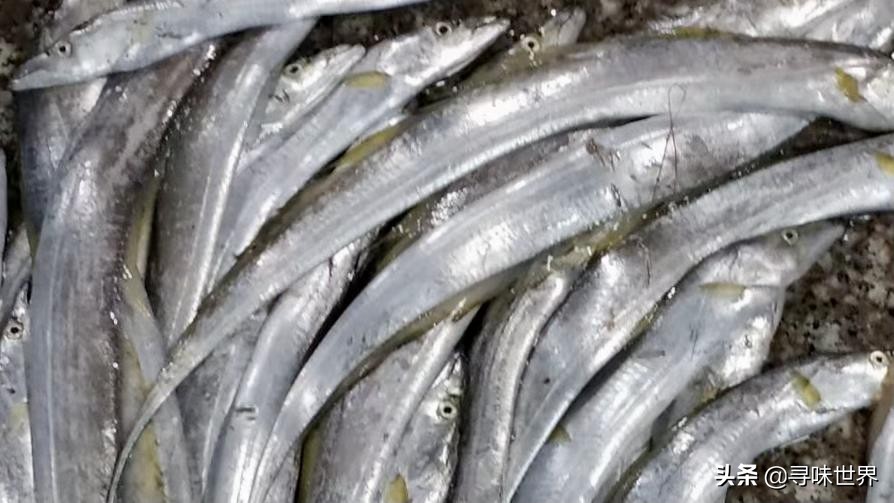 买鱼食内行人专买这十种纯海鱼,内行人就买这5种鱼