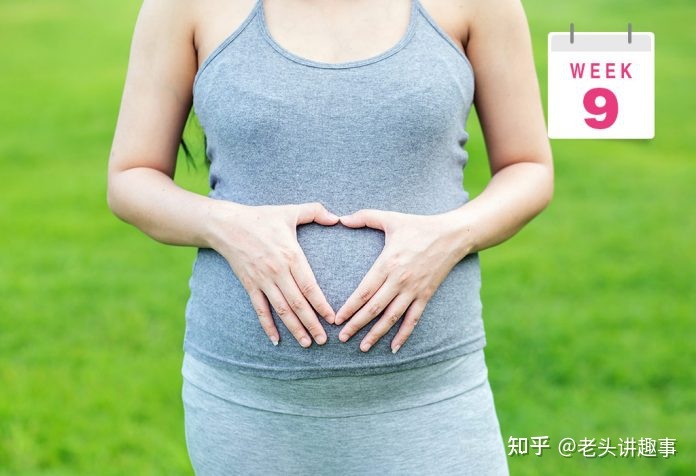 1-40周胎儿发育视频3d,胎儿1-40周发育全过程图解