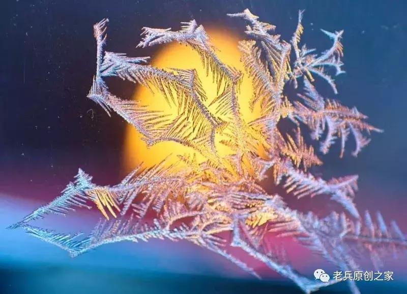 小年礼物赋佳木斯女诗人等诗