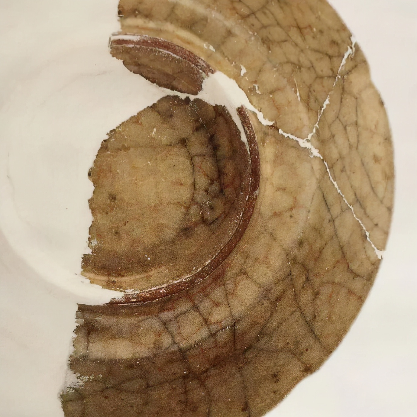 故宫哥窑瓷器大展,收藏物语字字珠玑