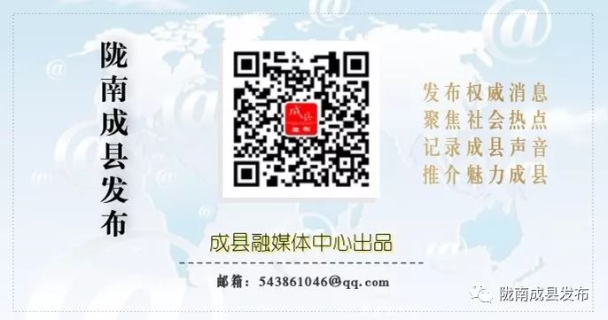 成县2020年后发展,未来空城的规划