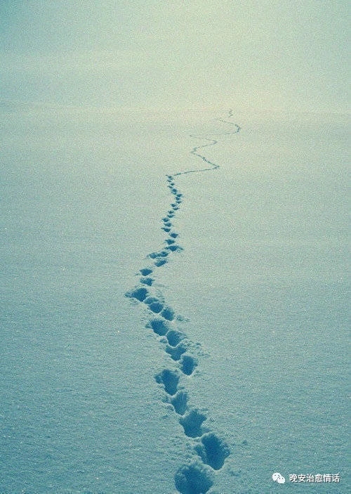 中考语文阅读理解专题训练题及答案,中考语文阅读理解专题训练