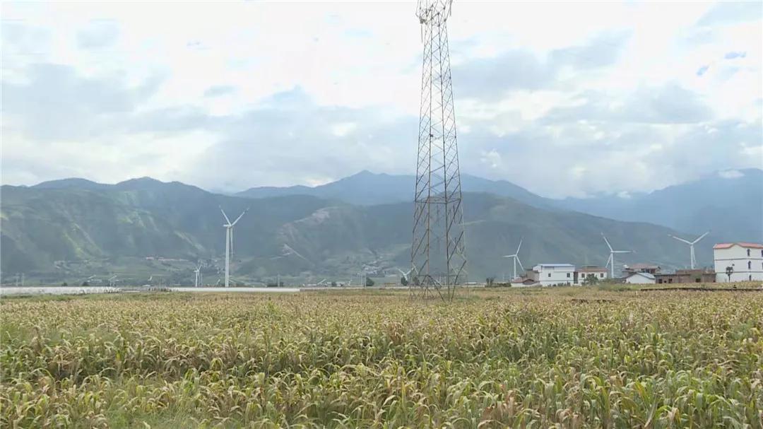 我为农民群众办实事活动方案,秸秆回收再利用变草为宝促增收