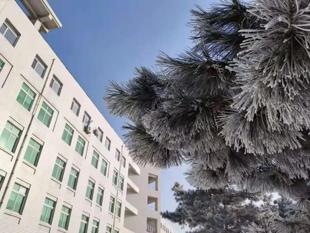 沈阳化工大学辽宁省排名,沈阳化工大学2020招生计划辽宁省