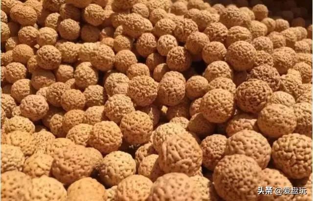 这张菩提子家谱，囊括30种，很少能有人认全