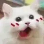 最近假冒大牌化妆品事件,国内现在假冒化妆品有哪些