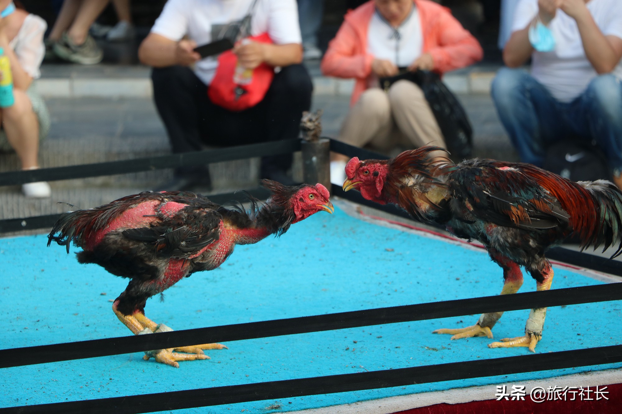 2020清明上河园表演最佳游览顺序,清明上河园表演节目单2020