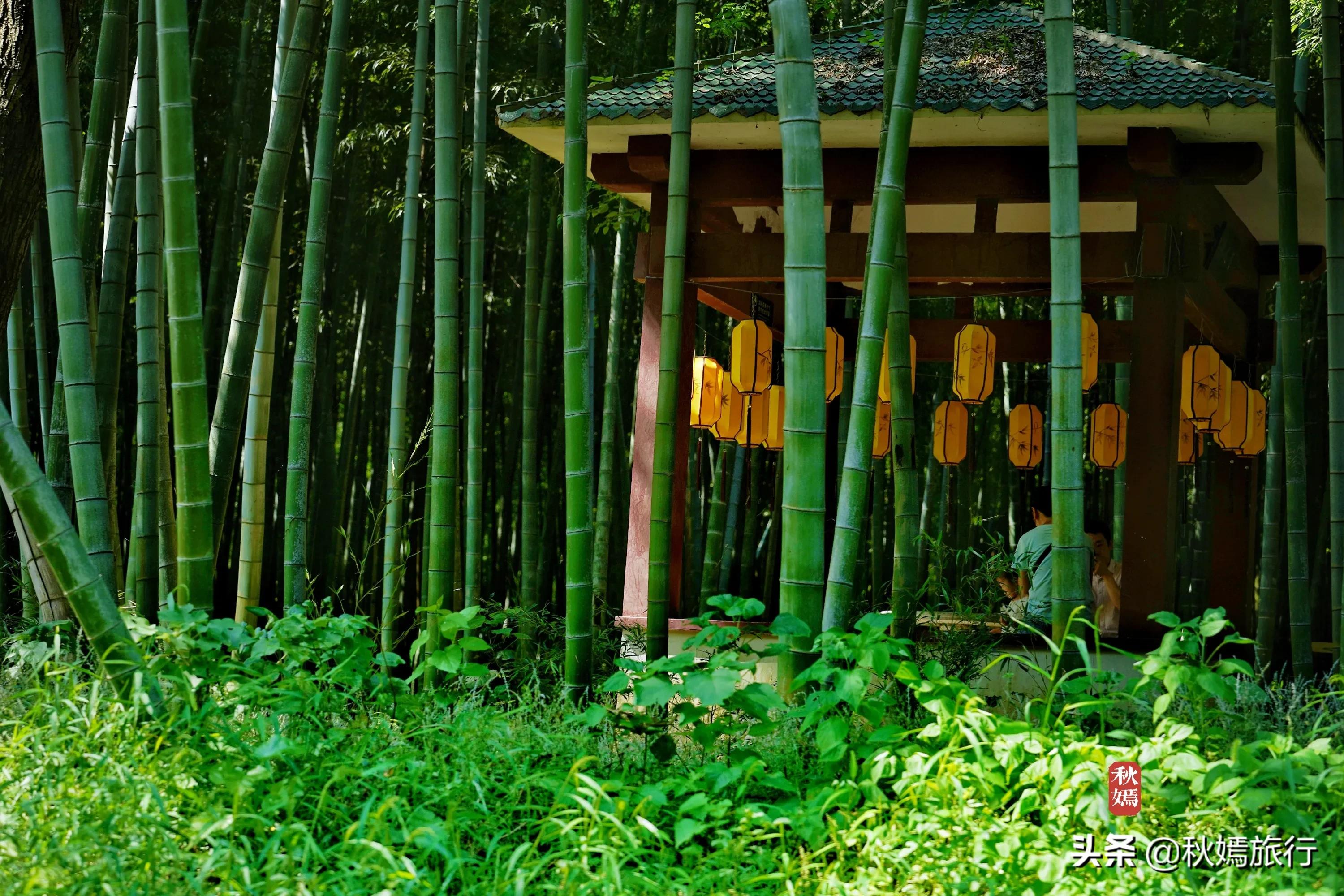 苏州吴中太湖新城苏州湾湿地公园,苏州湿地免费公园虎丘