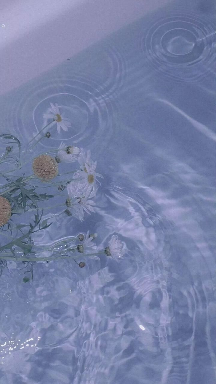 你最舍不得换的壁纸,朋友圈背景图插画