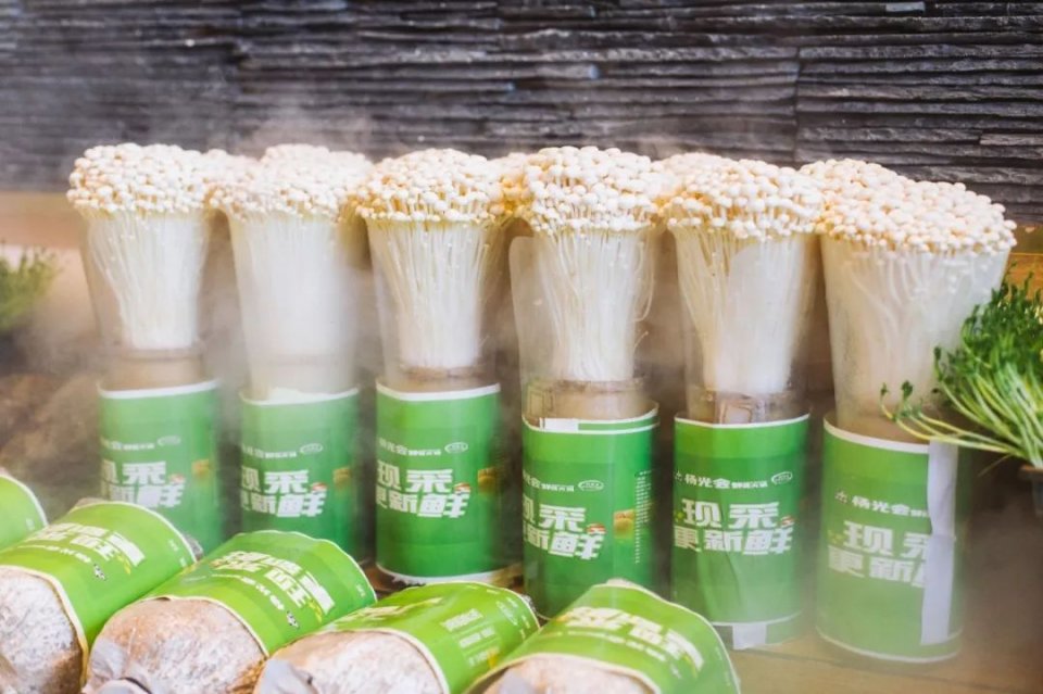 把菜园搬到餐厅,把菜园搬到家门口