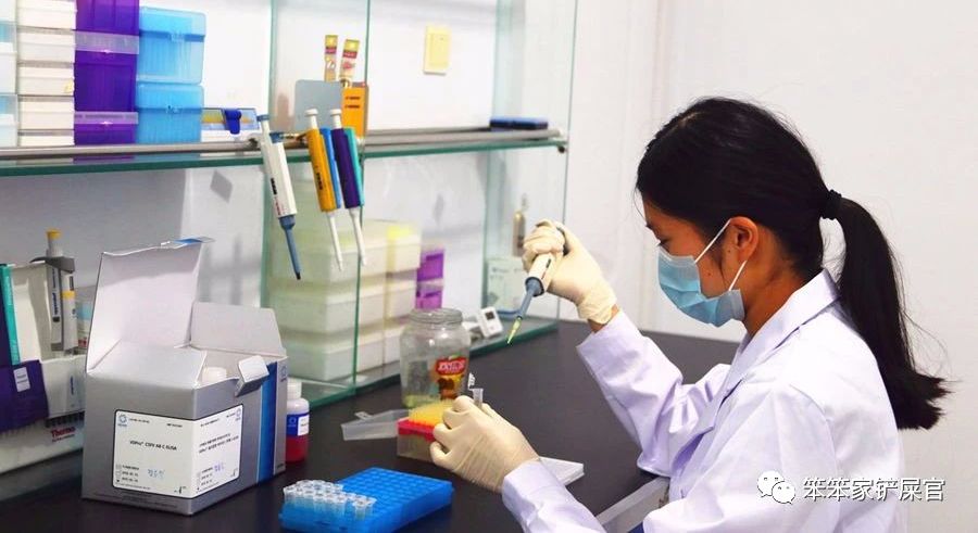 猫感冒吃感冒灵颗粒可以吗,猫感冒吃土霉素可以吗