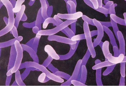 冰箱隐形杀手,冰箱里暗藏隐形杀手