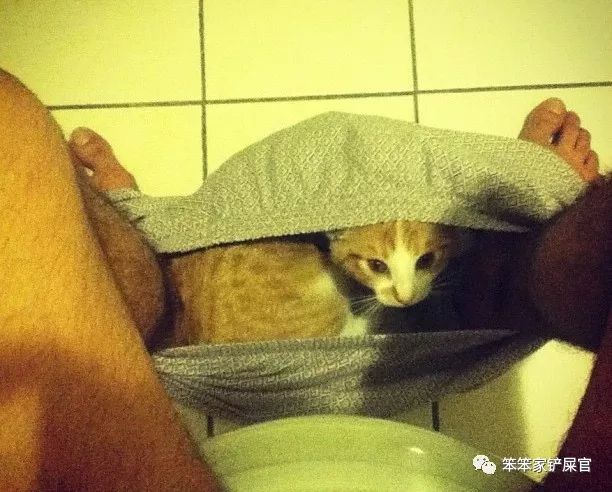 一个爱猫咪的女人,爱猫人士猫过敏