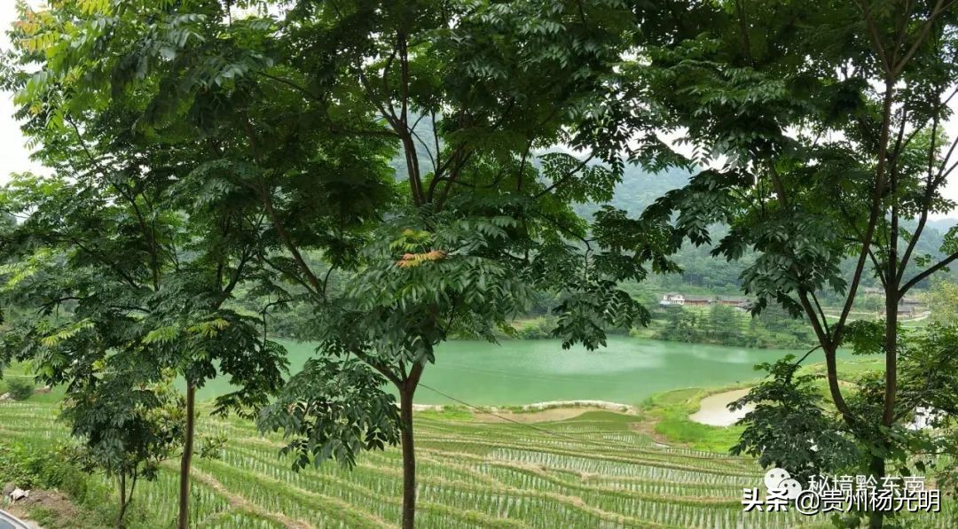 璐靛窞涓栧妗冩簮缇庢櫙,璐靛窞涓栧妗冩簮椋庢櫙