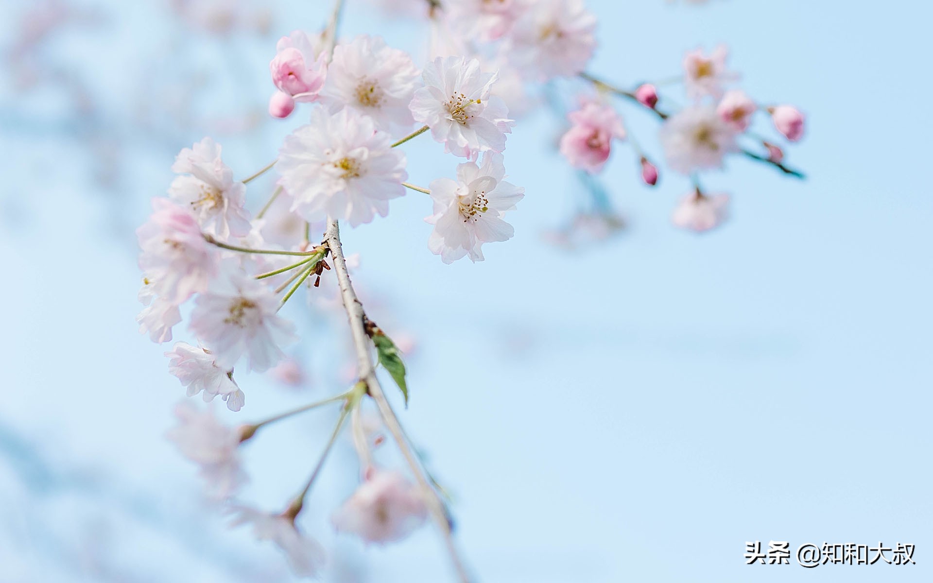 一个被别人瞧不起的人该怎么办,被人瞧不起时如何做好三件事