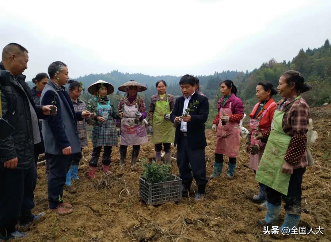 贵州省人大推动保护赤水河,贵州攻克贫困堡垒昂首迈步小康