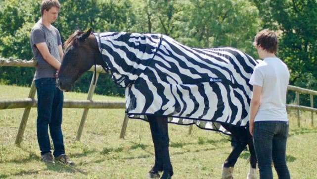 针对蚊子科学家打算如何消灭,脑洞大开利用各种手段消灭蚊子