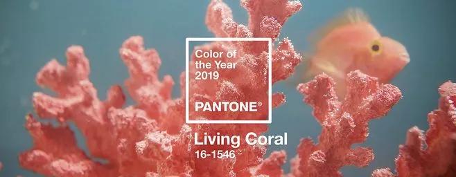 2023年ppt流行的颜色,2021ppt流行色配色