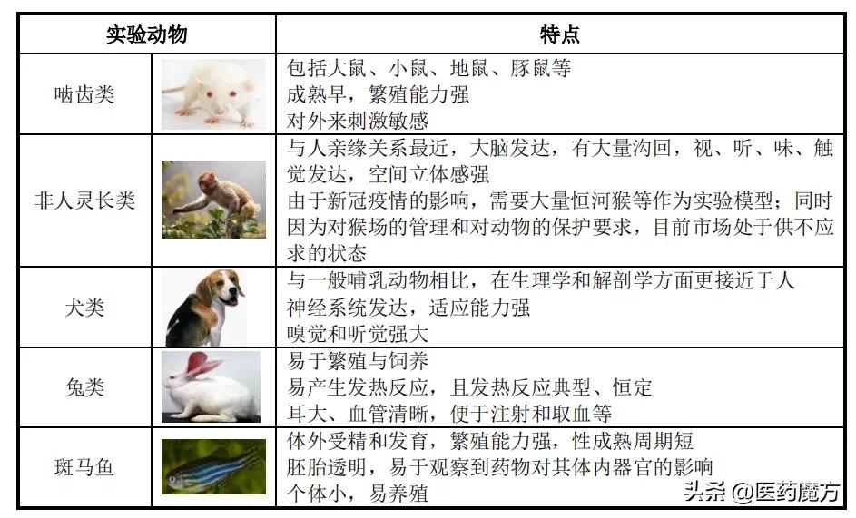 cro上游,cro上游概念股