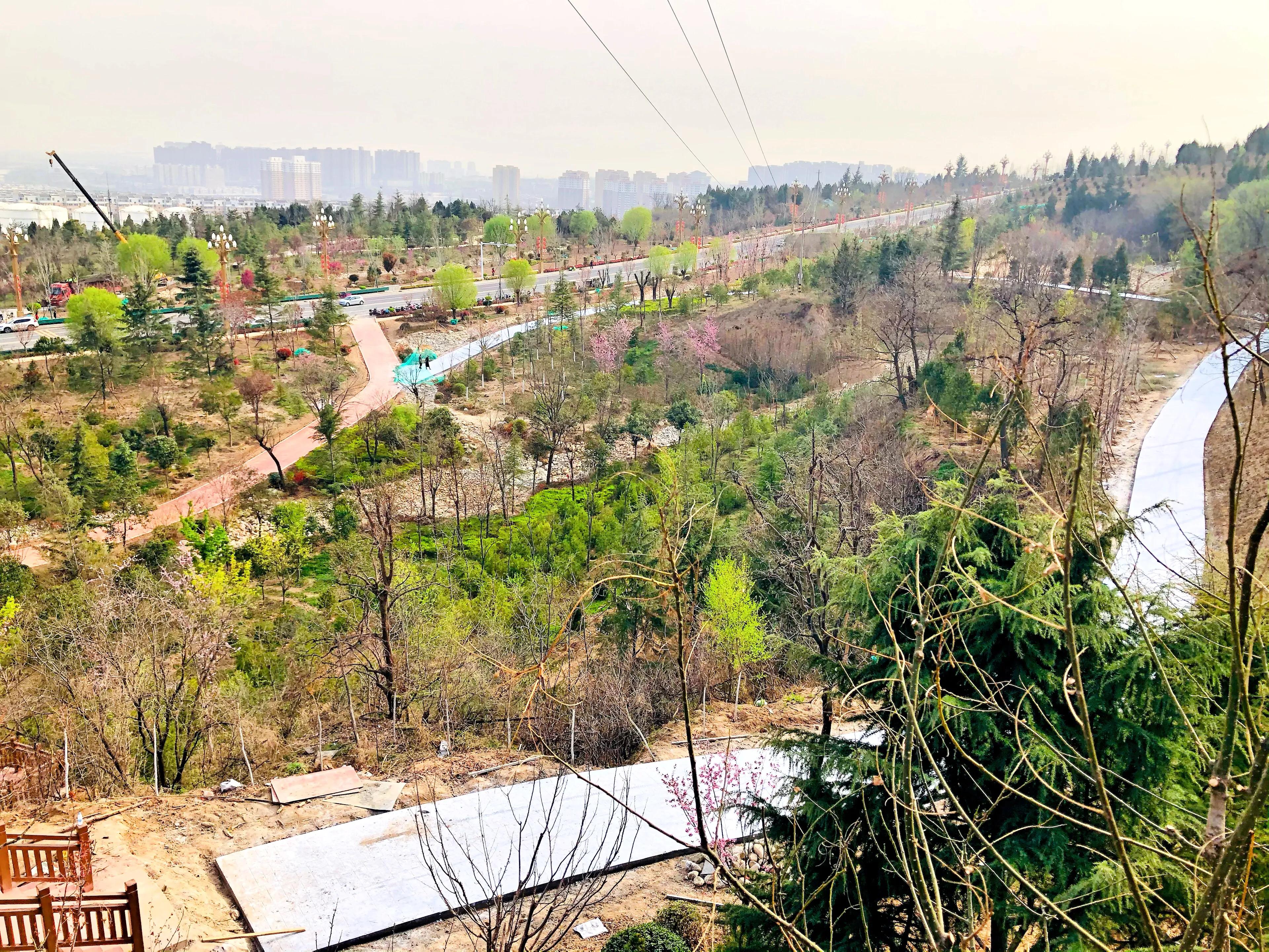 金塘半日游,白鹿原一日游攻略