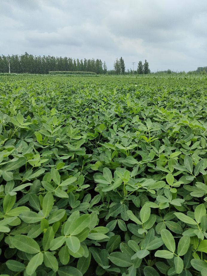 怎么才能做好农资店的生意,2022年农资店前景如何