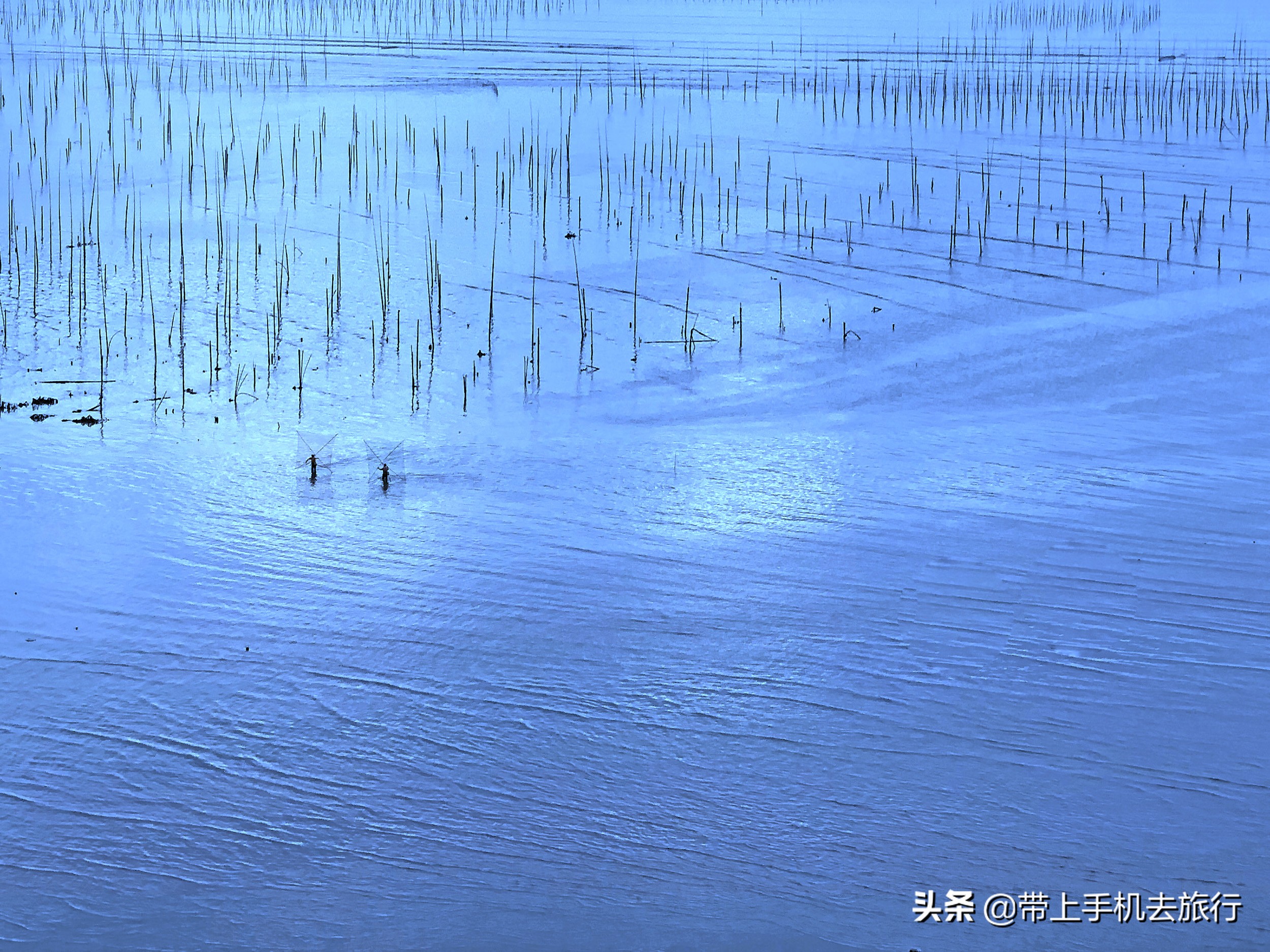 手机照的照片好丑为什么啊,手机拍照图片不清晰怎么解决