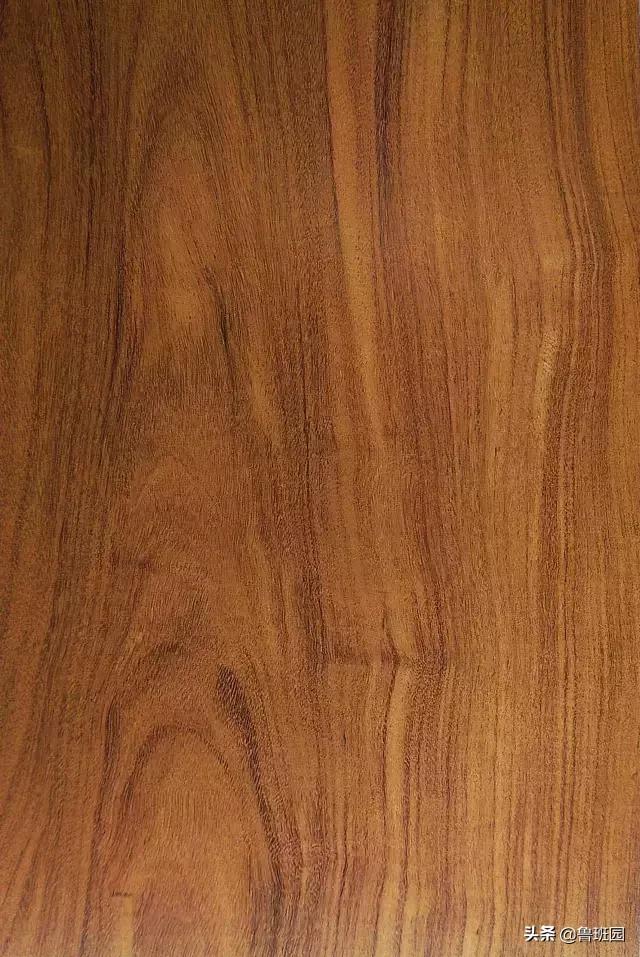 装饰材料木皮有哪些,装饰木皮有哪几种