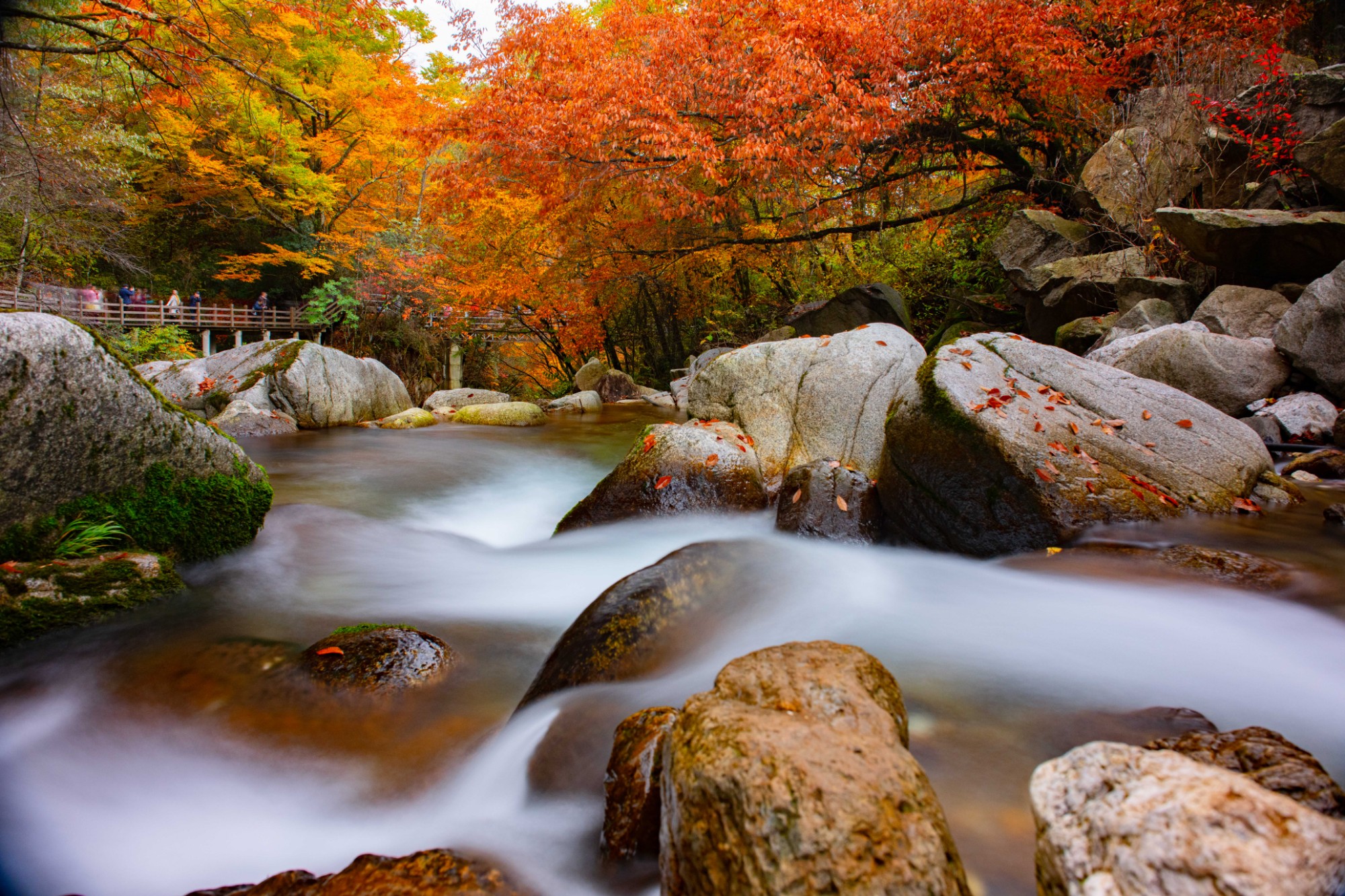 陕西5天红叶之旅,陕川交界的景区