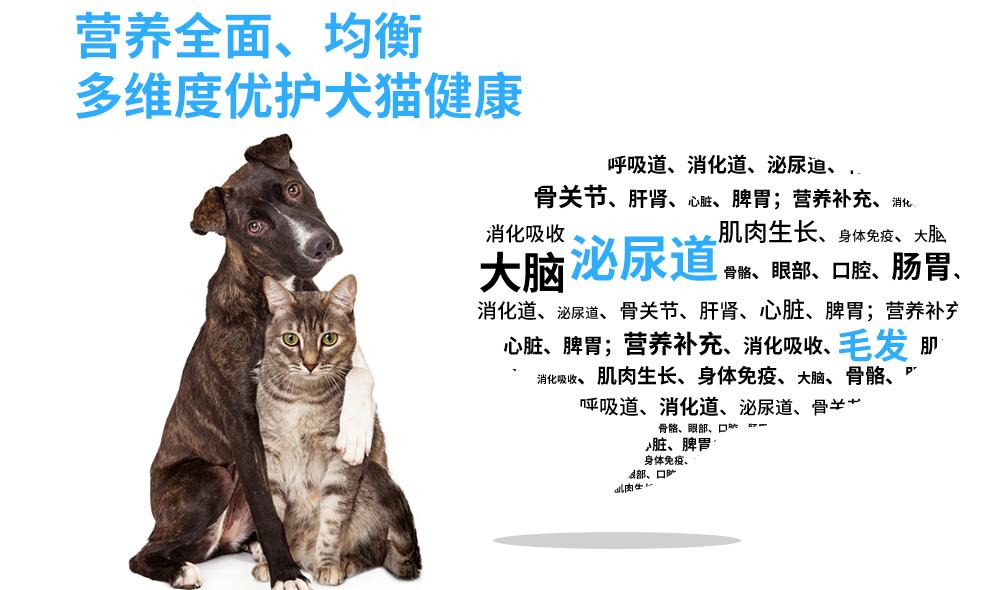 汉优全价猫粮,汉优发酵幼猫粮值得买吗