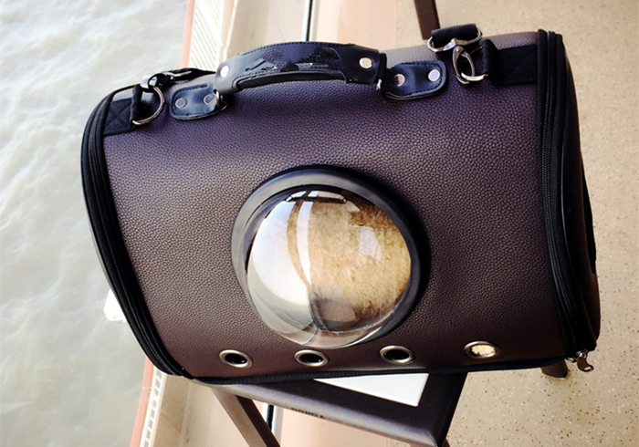 怎样的猫包最适合猫咪,猫猫应该用什么样的猫包