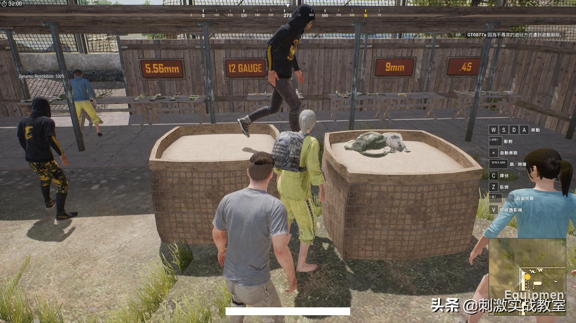 和平精英击倒和淘汰信息能调整吗,和平精英当队友被击倒该怎么救