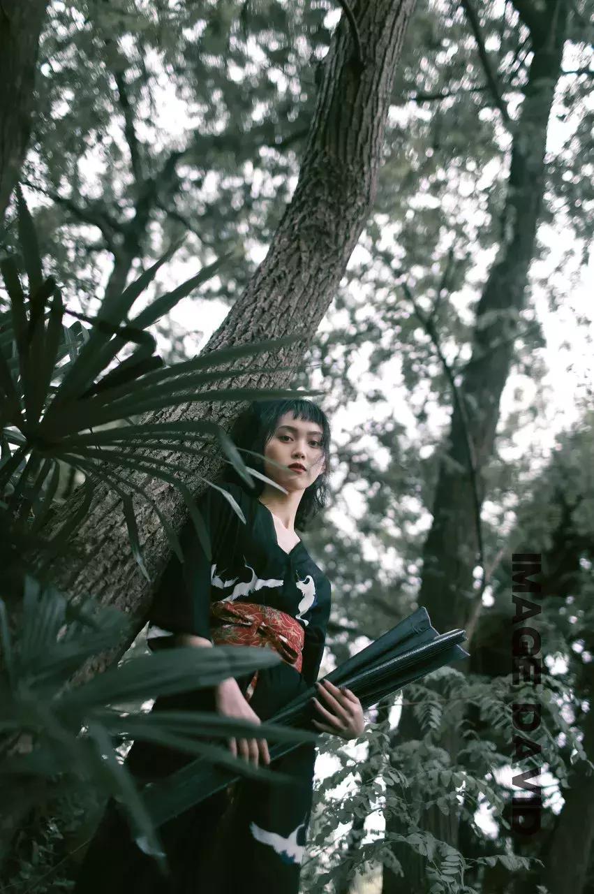 徐汇是啥,徐汇在哪里