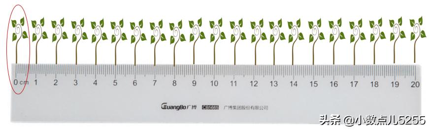 植树问题的数学背景,植树问题是数学模型吗