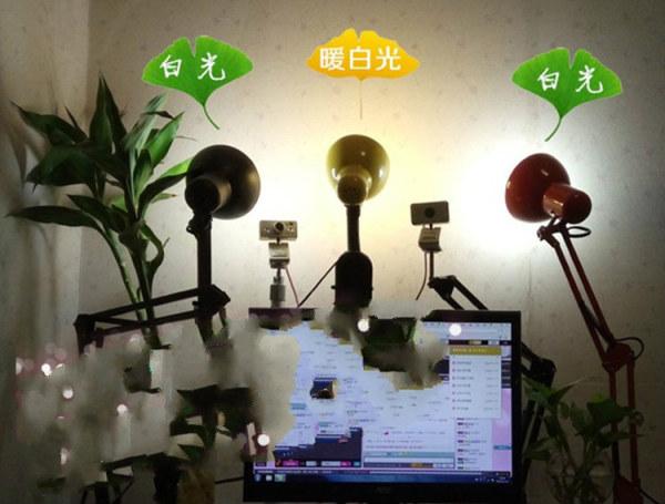 涓囧晢涔嬪璁茶В瑙嗛,涓囧晢涔嬪鐩存挱甯﹁揣鏀荤暐