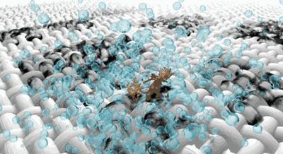 羽绒服脏了难清洗教你一招,天冷了羽绒服怎么洗