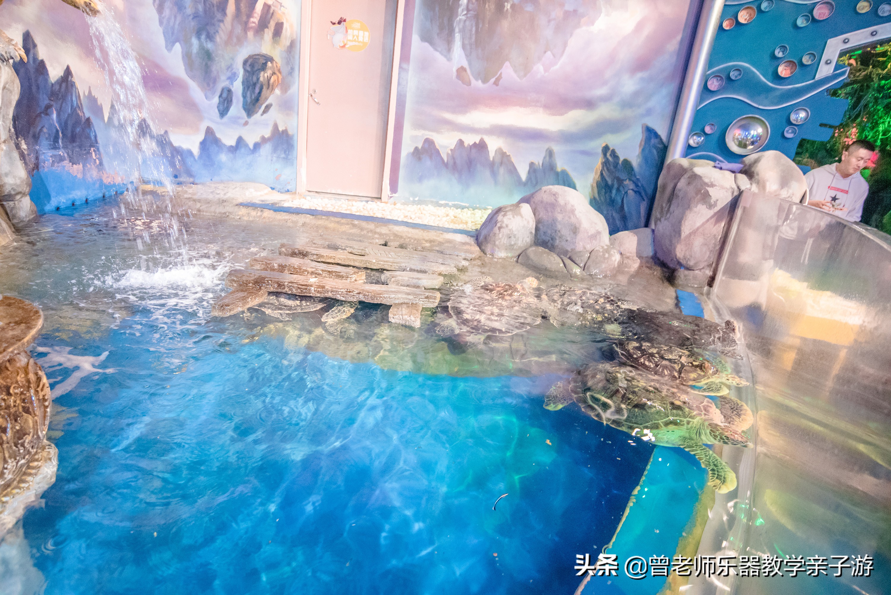 西安太奥海洋馆,西安极地海洋世界海豚表演