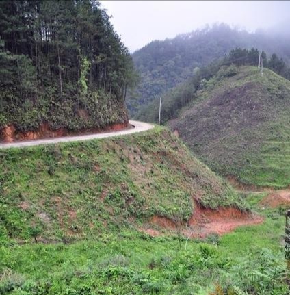 徐建成散文随笔选,徐建成的散文随笔