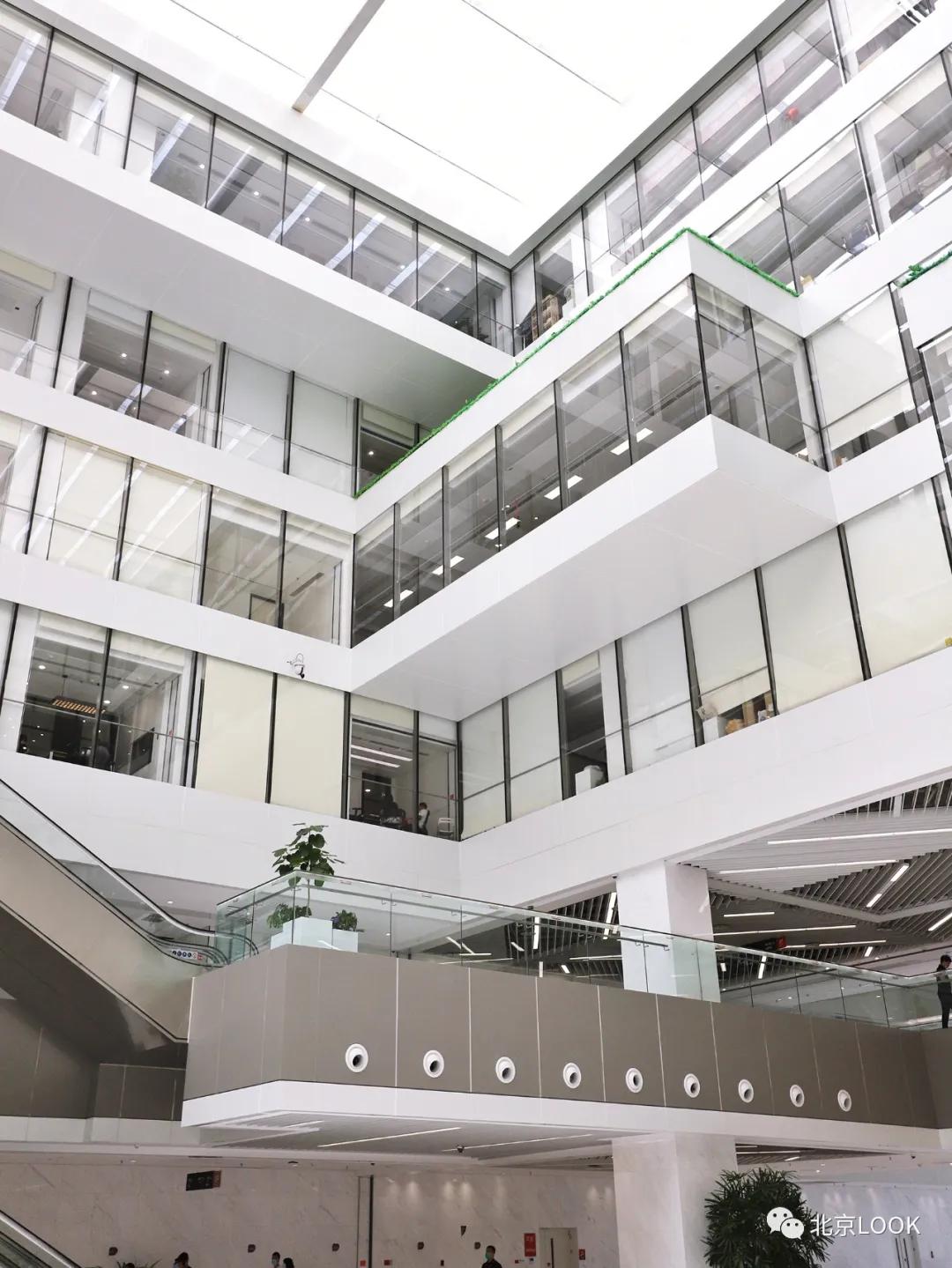 别人家的公司还招人,别人家的公司还招人吗