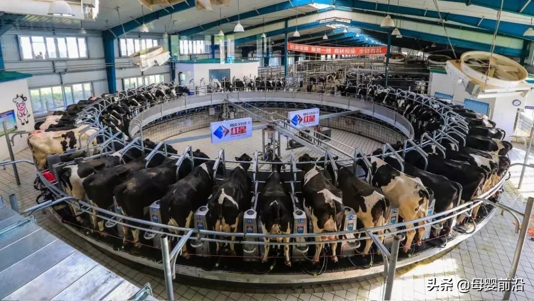 红星乳业郑俊怀近况,红星乳业董事长郑俊怀