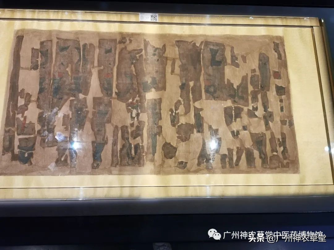 艸堂｜传说中可以挂太阳的树，草堂有