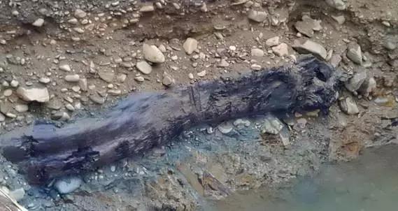 乌木到底是什么凭啥这么珍贵,乌木到底有什么价值